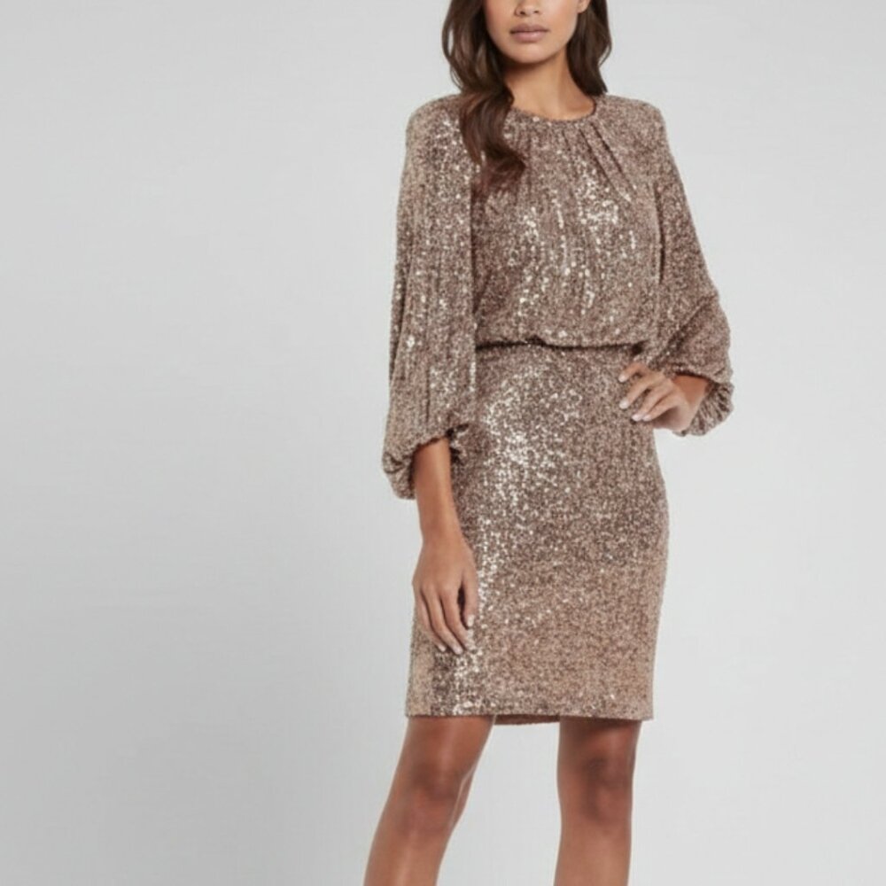 Vince Camuto Balloon Sleeve Sequin Dress size 4